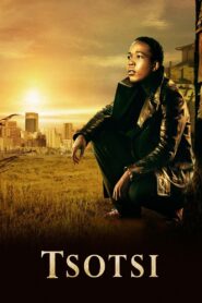 Tsotsi 2005 one on netflix