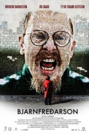Mr. Bjarnfreðarson 2009 one on netflix