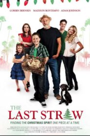 The Last Straw 2014 one on netflix