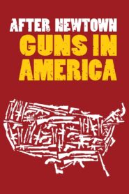 After Newtown: Guns in America 2013 one on netflix