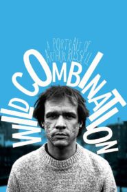 Wild Combination: A Portrait of Arthur Russell 2008 one on netflix