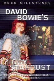 David Bowie’s Ziggy Stardust 2006 one on netflix