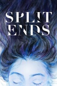 Split Ends 2022 one on netflix