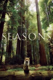 Seasons 2016 one on netflix