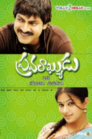 Pravarakyudu 2009 one on netflix