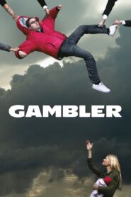 Gambler 2006 one on netflix