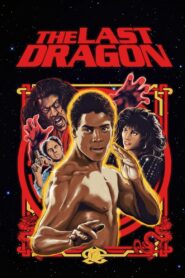 The Last Dragon 1985 one on netflix