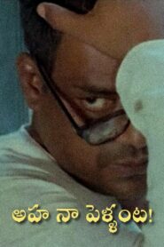 Aha Naa Pellanta! 1987 one on netflix