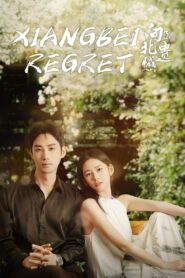 Xiangbei Regret 2024 one on netflix