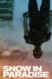Snow in Paradise 2014 one on netflix