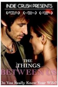 The Things Between Us 2008 one on netflix