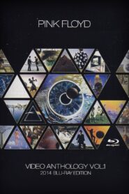 Pink Floyd: Video Anthology Vol 1 2014 one on netflix