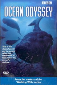 Ocean Odyssey 2006 one on netflix