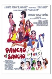 Pancho el Sancho 1988 one on netflix