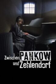 Zwischen Pankow und Zehlendorf 1991 one on netflix