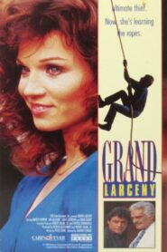 Grand Larceny 1987 one on netflix