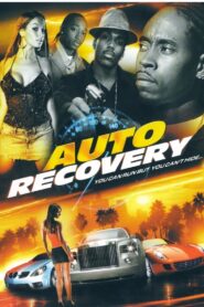 Auto Recovery 2008 one on netflix