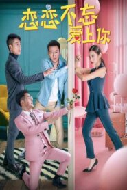 Never Forget To Fall In Love With You 2019 one on netflix