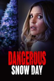 Dangerous Snow Day 2021 one on netflix