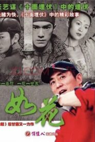 Beauty and Pureness 2004 one on netflix