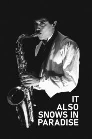 It Also Snows in Paradise 1994 one on netflix