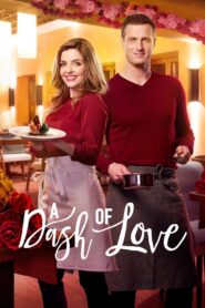 A Dash of Love 2017 one on netflix