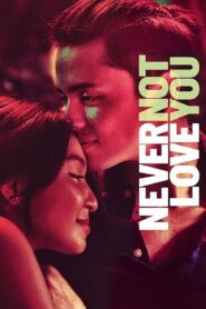 Never Not Love You 2018 one on netflix