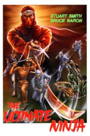 The Ultimate Ninja 1986 one on netflix