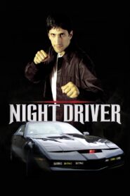 Night Driver 2005 one on netflix