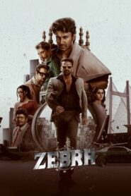 Zebra 2024 one on netflix