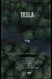 Tesla 2020 one on netflix