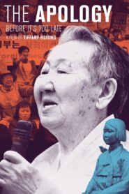 The Apology 2016 one on netflix