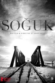 Cold 2014 one on netflix