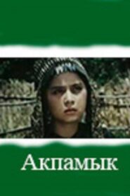 Akpamyk 1996 one on netflix