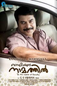 Bavuttiyude Namathil 2012 one on netflix