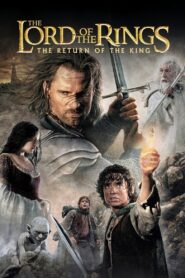 The Lord of the Rings: The Return of the King 2003 one on netflix