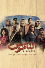 The Law 2021 one on netflix
