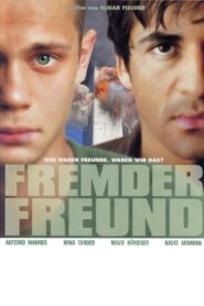 The Friend 2003 one on netflix