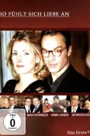 So fühlt sich Liebe an 2004 one on netflix