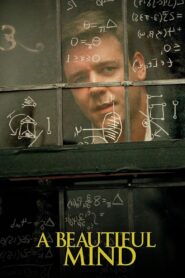 A Beautiful Mind 2001 one on netflix
