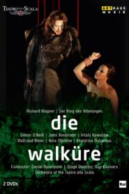 Wagner: Die Walküre 2013 one on netflix