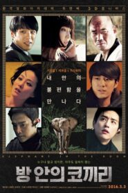 Elephant in the Room 2016 one on netflix