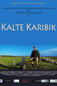 Kalte Karibik 2010 one on netflix