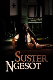 The Dead Nurse 2007 one on netflix