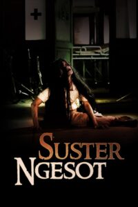 The Dead Nurse 2007 one on netflix