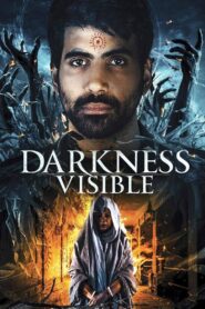 Darkness Visible 2019 one on netflix