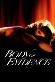 Body of Evidence 1993 one on netflix