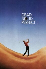 Dead Solid Perfect 1988 one on netflix