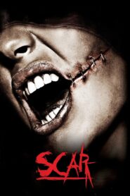 Scar 2007 one on netflix