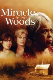 Miracle in the Woods 1997 one on netflix